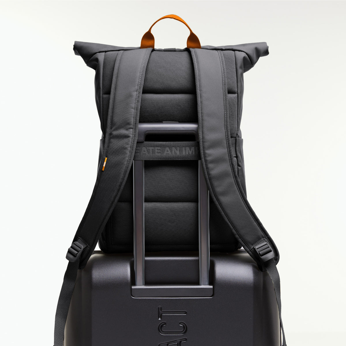 ROLLTOP EASY Rucksack in shark (Dunkelgrau) von hinten auf einem Koffer stehend.