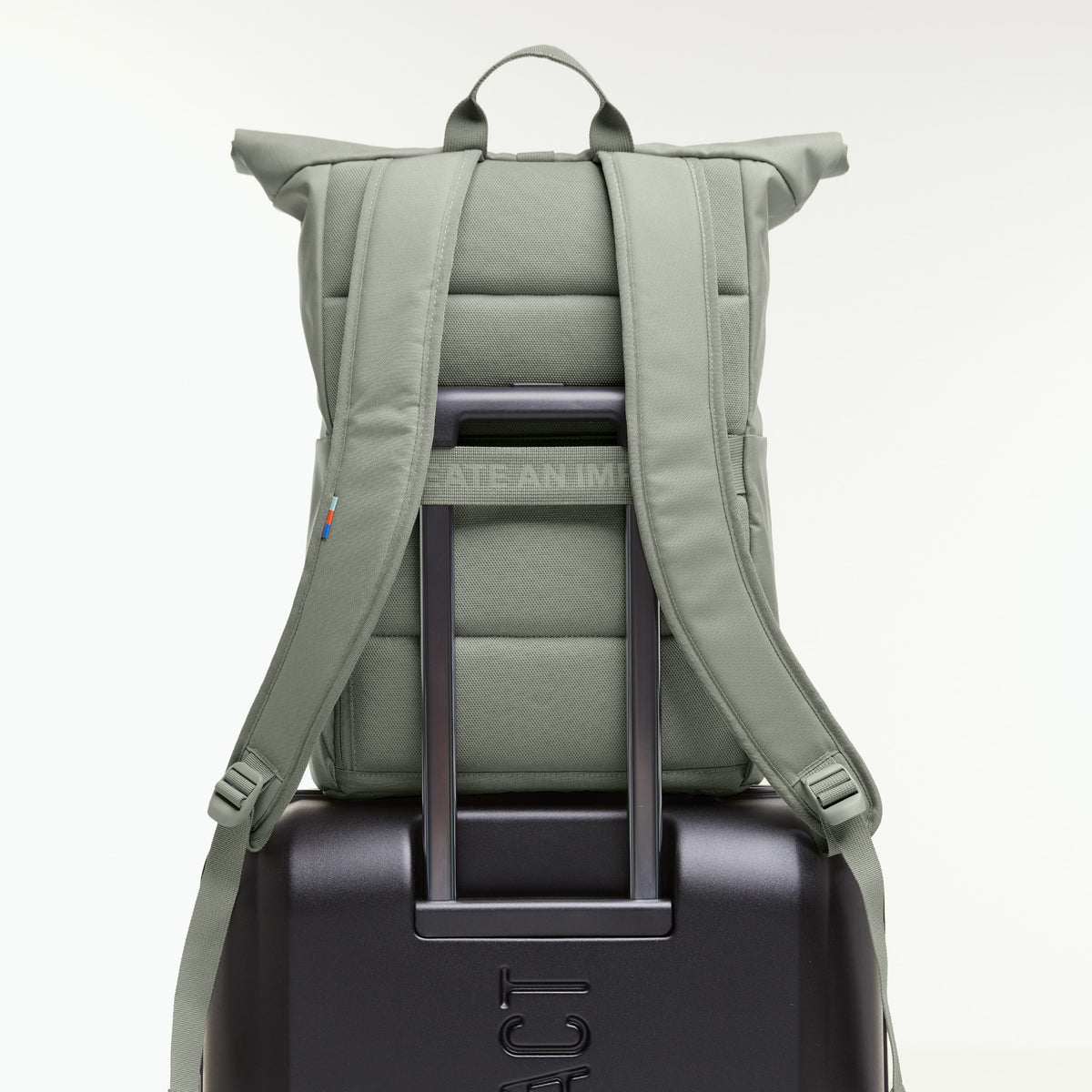 ROLLTOP EASY Rucksack in bass (Salbeigrün) auf einem Koffer platziert, Rückansicht.