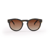 RE:SHADES NO.05 - tortoise