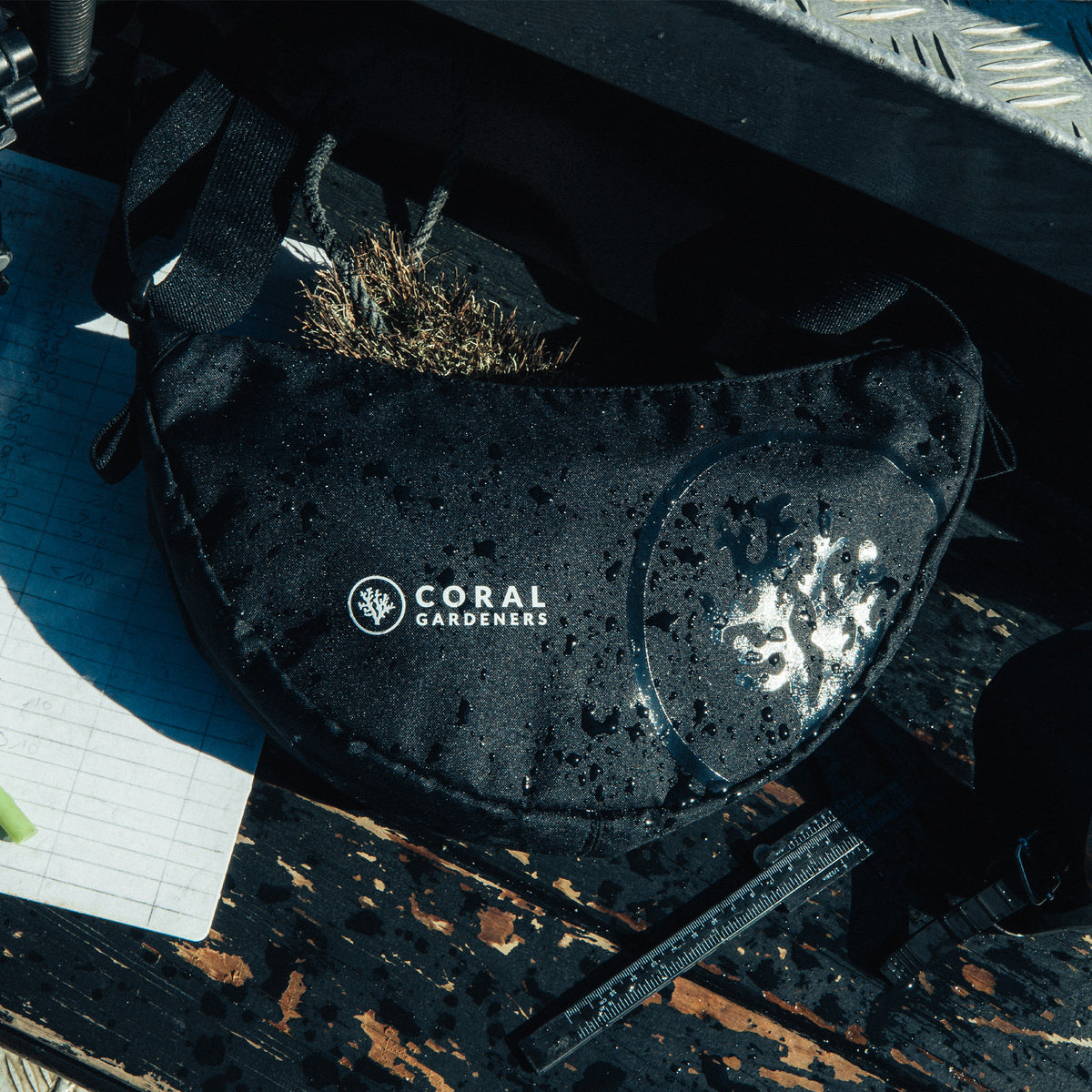 MOON BAG SMALL Tasche in black (Schwarz) mit Wassertropfen auf feuchtem Holzbrett, daneben Notizen und Messwerkzeug.