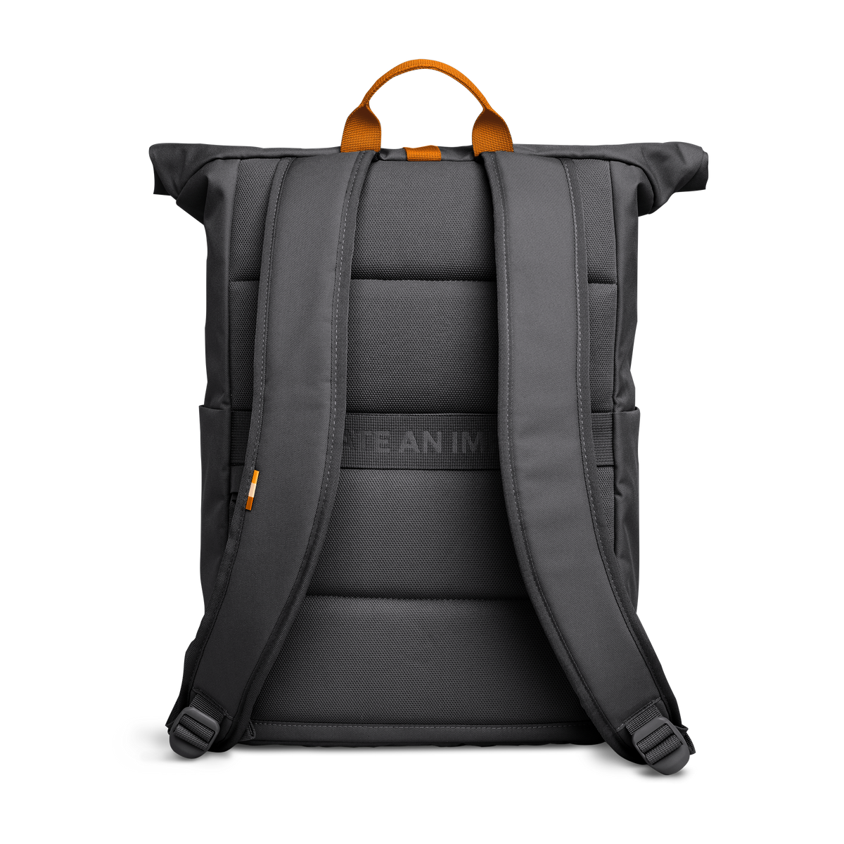 ROLLTOP EASY SeaLegacy Monochrome Edition Rucksack in shark (Dunkelgrau) als Rückansicht.