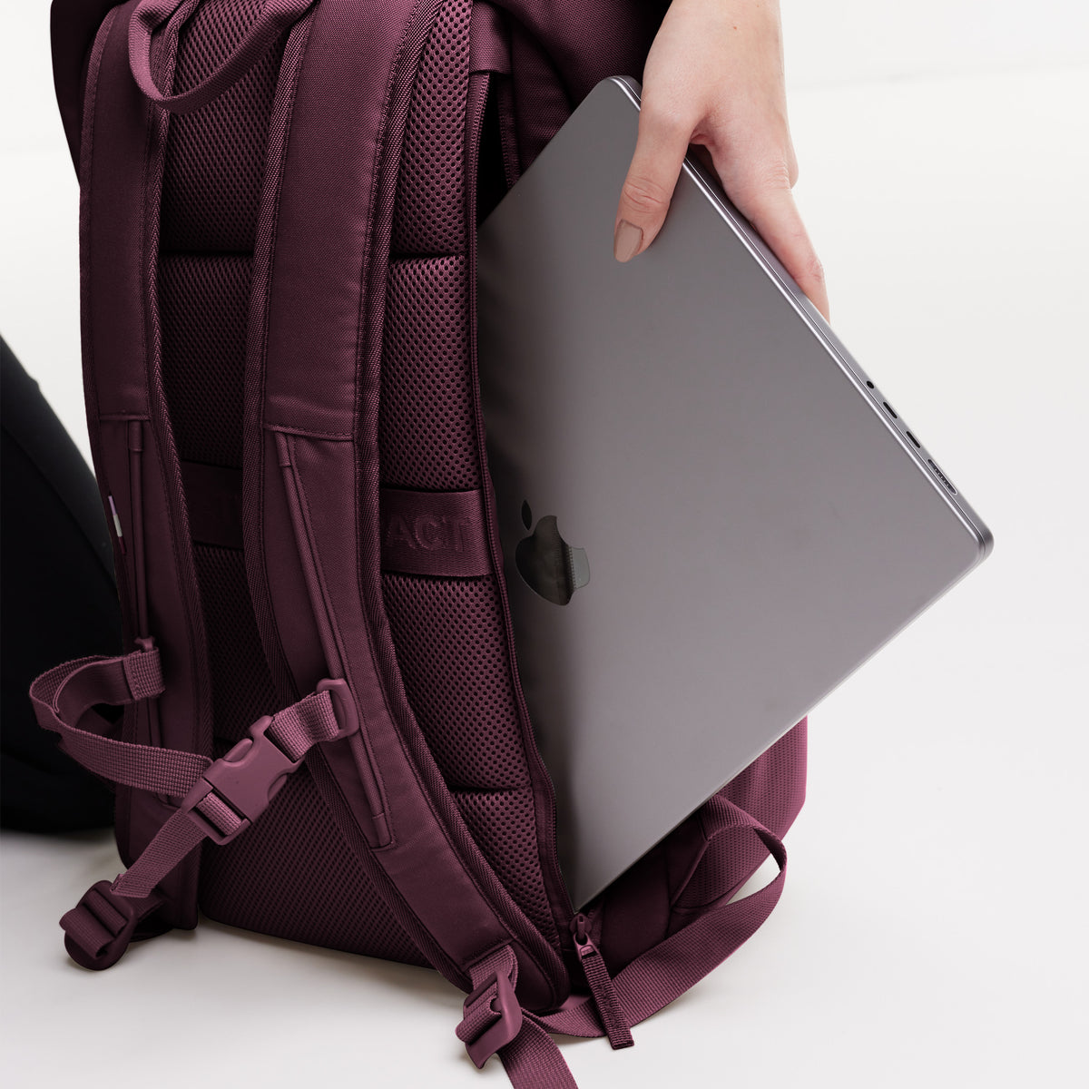 PRO PACK Rucksack in kraken (Weinrot), von einer Frau einen Laptop hineingesteckt.