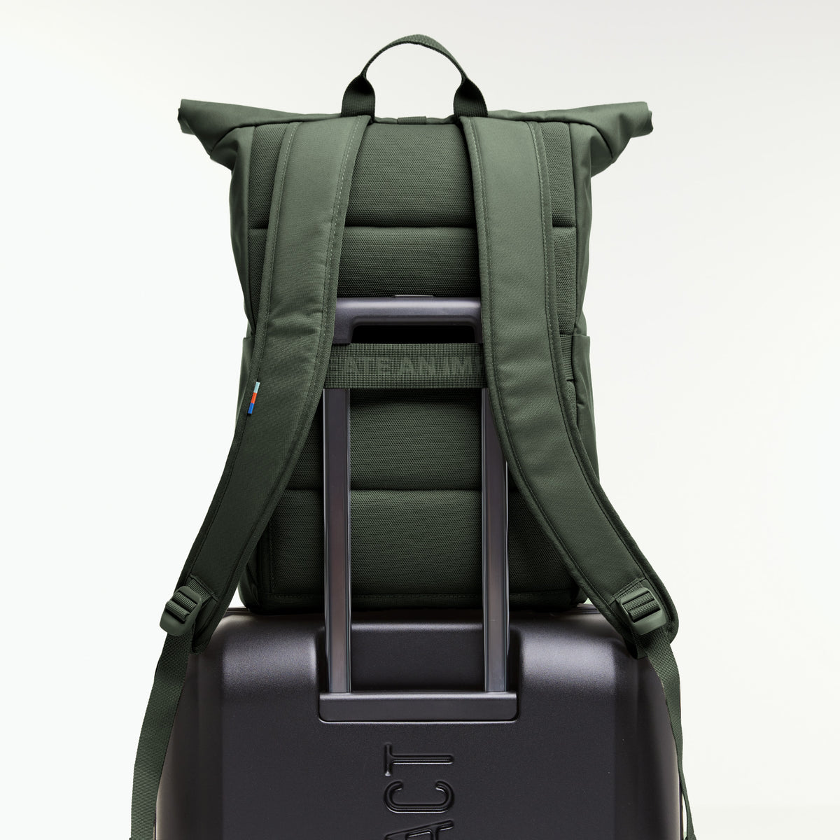 ROLLTOP EASY Rucksack in algae (Dunkelgrün mit Graustich) auf einem Koffer mit Trolley-Griff.