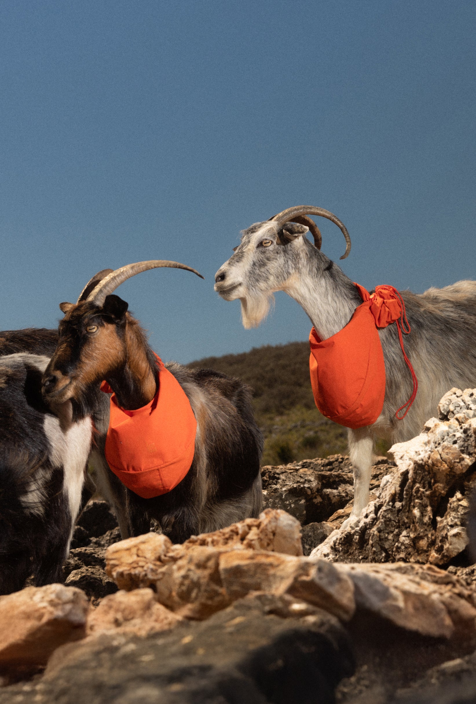 GOATS GOT BAG