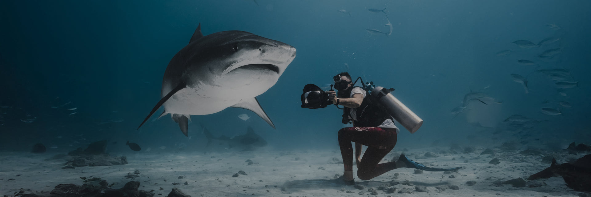 Uomo (sub) con fotocamera subacquea si inginocchia davanti a uno squalo sul fondale marino. Scena accessori.