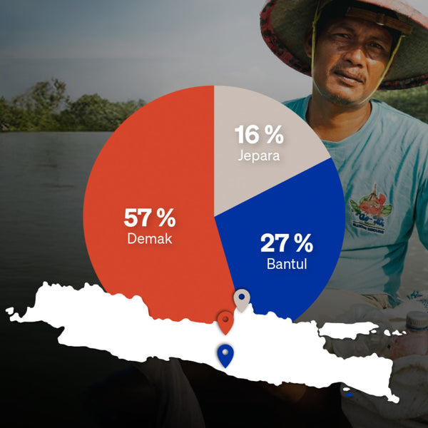 Accessories: Graphic of regions Demak (57%), Bantul (27%) & Jepara (16%) on Java map with man in boat.