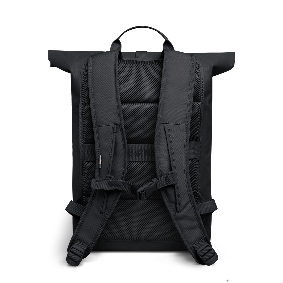 ROLLTOP LITE Rucksack in black (Schwarz) in Rückenansicht.